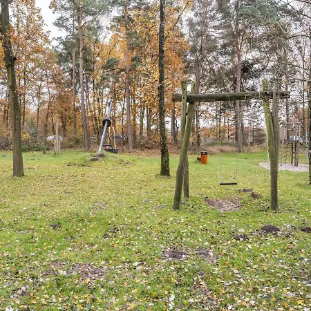 Modern In In The Forest