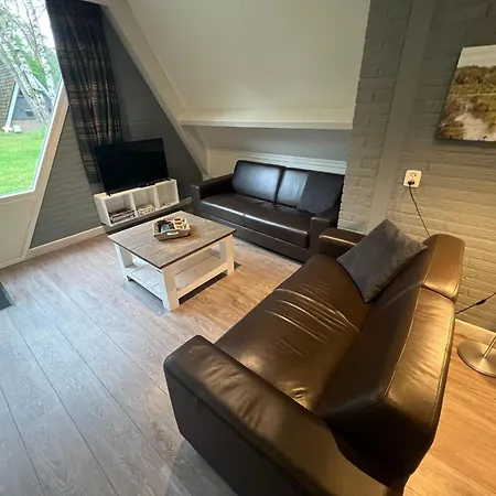 Modern In In The Forest *