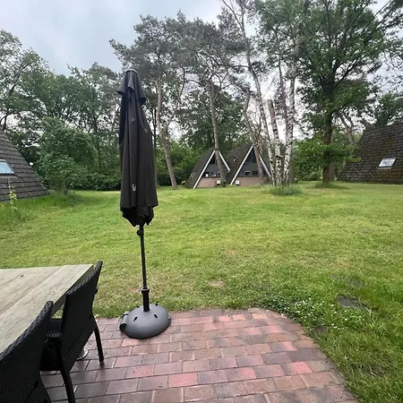 Modern In In The Forest Holiday home Stramproy