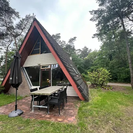 Modern In In The Forest * Stramproy