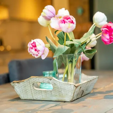 Charming With Wifi Casa vacanze Stramproy